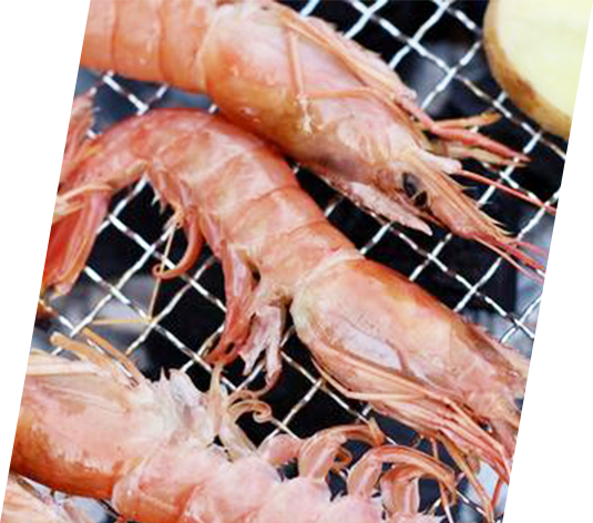KOSEI GRILL