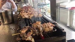 KOSEI GRILL demonstracijski video 256 tip KY-KL, piletina na žaru i ražnjići