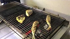 Video di dimostrazione KOSEI GRILL 087 KA-G, tipu KA-KL, frutti di mare