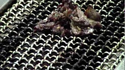 KOSEI GRILL 実演動画002　煙が少ない焼⾁ロースター