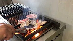 KOSEI GRILL pruva video 231 KA-G, KA-KL tipo, alia kuirado