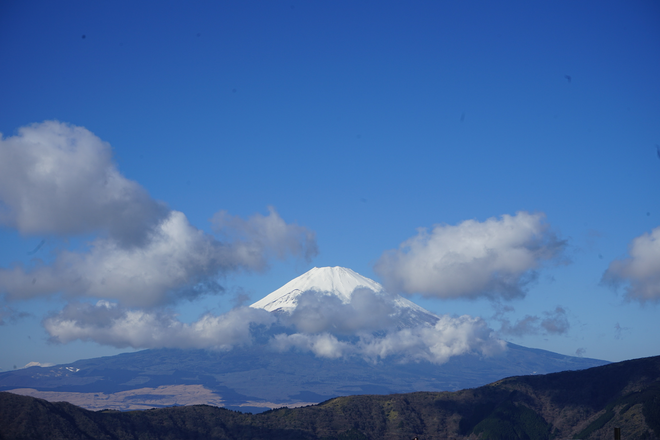 2026年・令和8年もよろしくお願いいたします